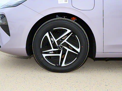 2025�� 450km ������