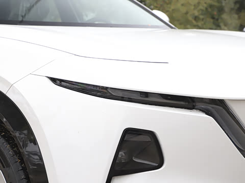 2026�� ����600 Pro