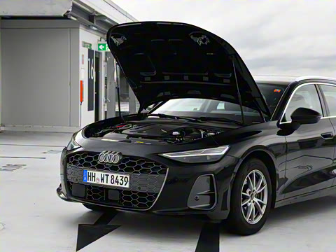 2025�� Avant �����