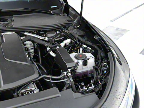 2025�� Avant �����