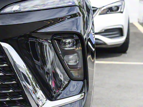 2026�� ������Plus ����Avenir��ά��