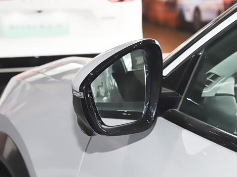 2026�� ����600 Pro