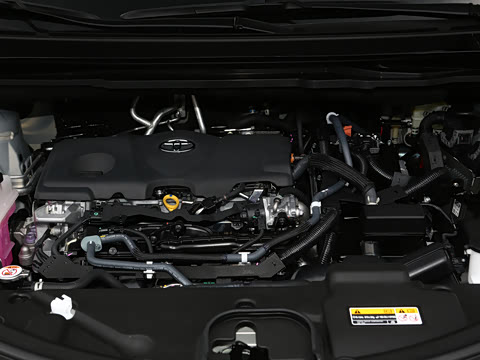 2026�� 2.5L ˫������������