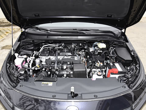 2026�� 1.8L ˫�� �ȷ��