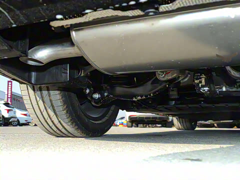 2026�� ����Max