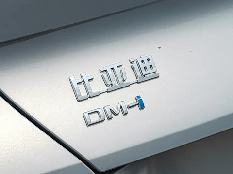 2026�� DM-i 310�콢��