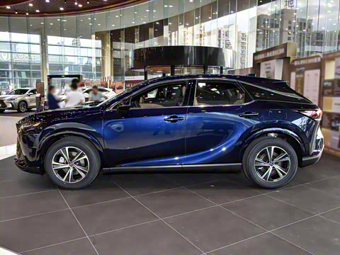 2026�� 300 ����������