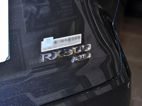 2026�� 300 ����������