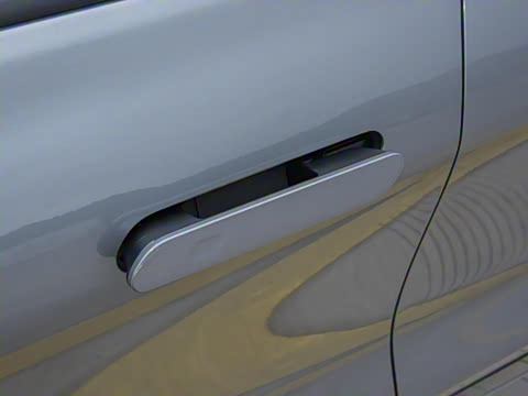 2026  2.0T  EcoBoost  