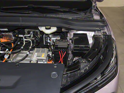 2025�� 565km ������