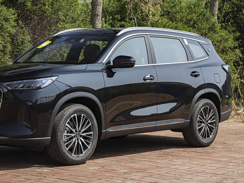 2026�� 290TGDI DCT������ 7��