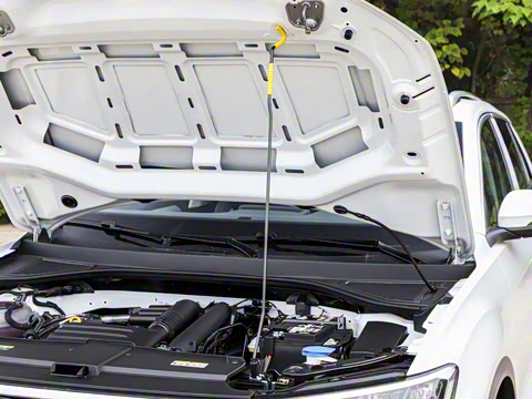 2026�� 280TSI DSG����ʱ���