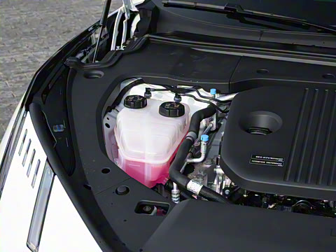 2025�� 240����Ultra