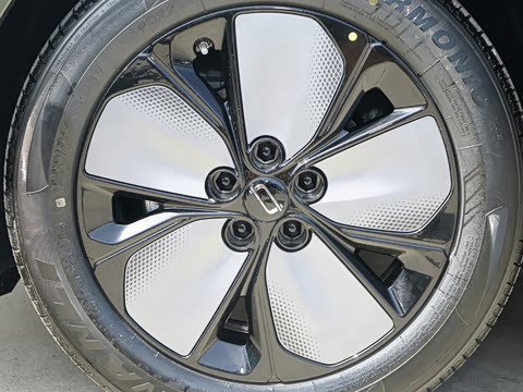 2026�� ���� 565 Plus