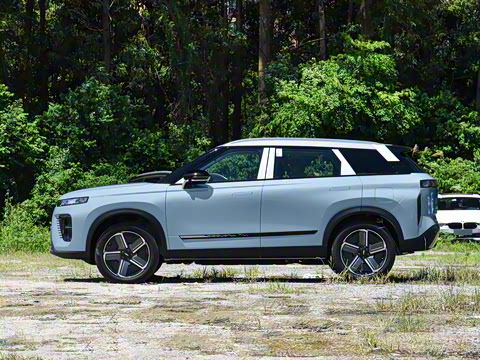 2024�� MAX��