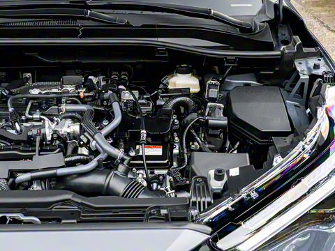 2026�� 2.0L ���ܵ��˫�� ������