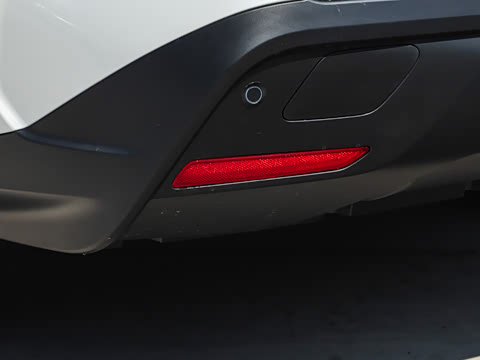 2026�� ������ JOY