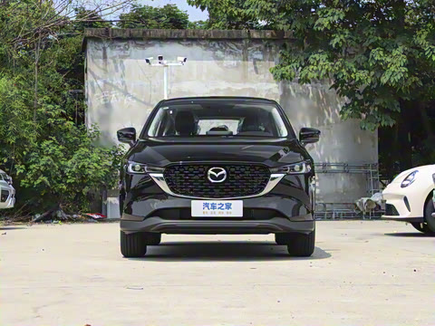 2025�� 2.0L �Զ�����������