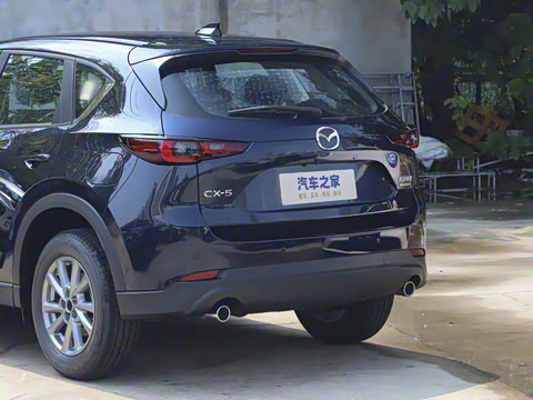 2025�� 2.0L �Զ���������Pro