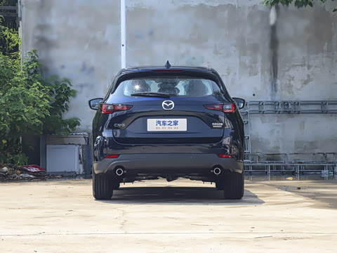 2025�� 2.0L �Զ���������Pro