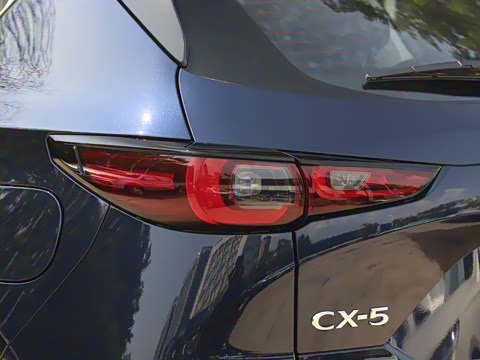 2025�� 2.0L �Զ���������Pro