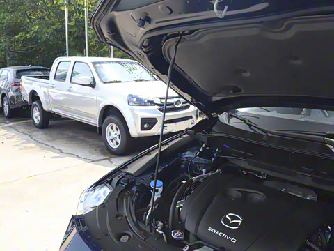 2025�� 2.0L �Զ���������Pro