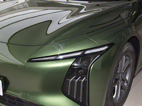 2025�� 555�Ǵ���