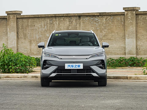 2026�� DM-i 310KM ׿Խ��