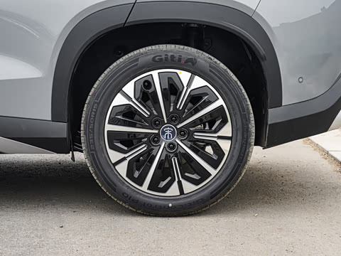 2026�� DM-i 310KM ׿Խ��