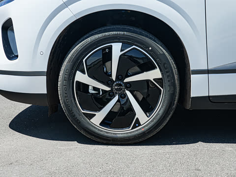 2026�� DM-i 305Զ����