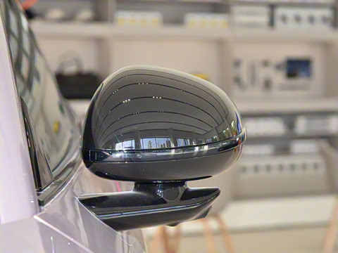 2025�� ������������Pro��