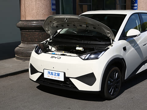 2026�� 305km ���ɰ�