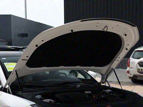 2025�� 60km EM-i ������