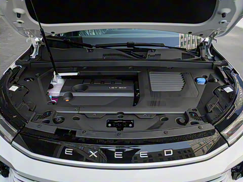 2025�� 300T ������ҹ��