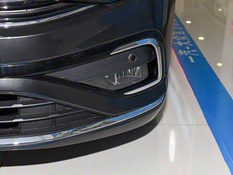 2025�� �Ŀ� 300TSI DSG���а�