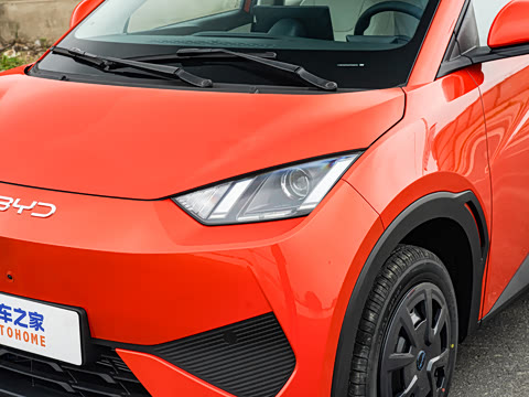 2026�� 305km ������