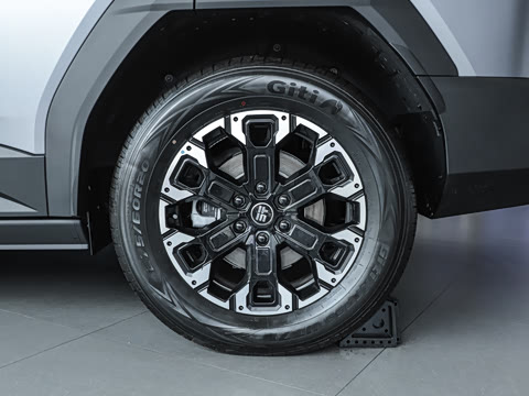 2025�� ������ 5��