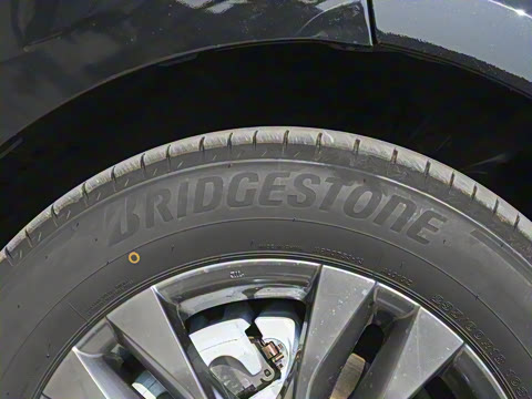 2025�� 2.5L ������