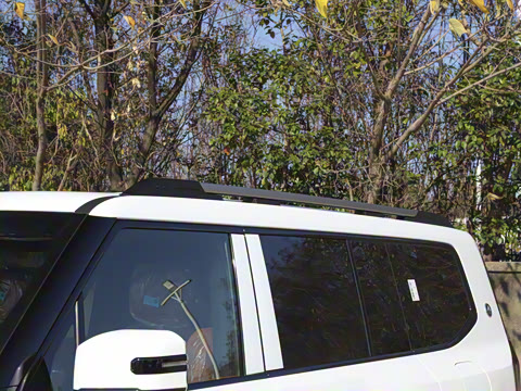 2025�� ������ 5��