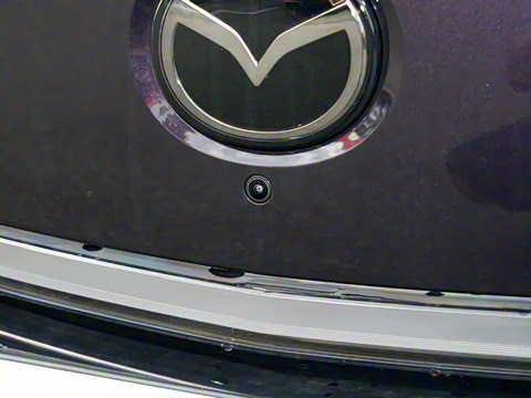 2025�� ����200 Pro