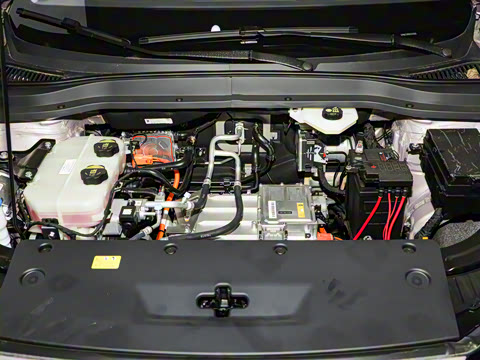 2025�� 565km ������