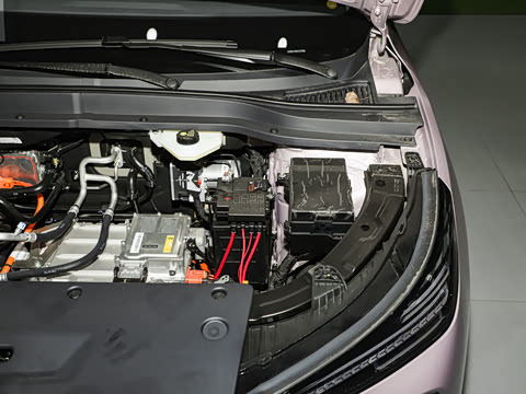 2025�� 565km ������