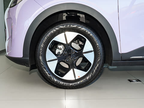 2026�� 310km �˷��