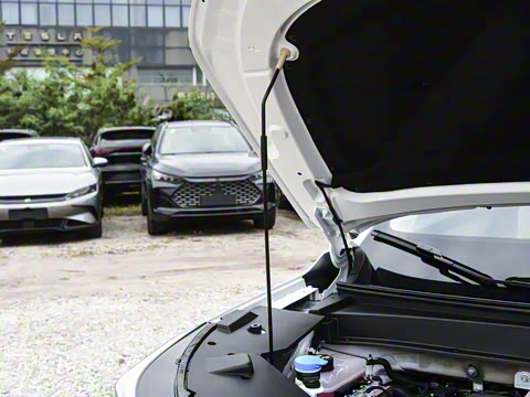 2026�� 210 ���װ�