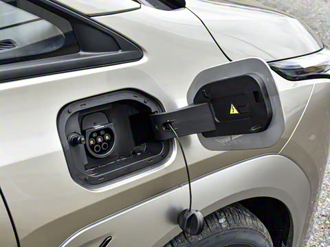 2025�� Plus 610 ������