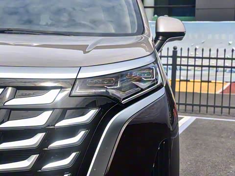 2025�� DM-i ��������