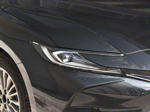 2026�� ˫�� 2.0HGVP ������