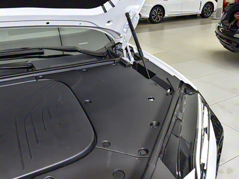 2025�� 565�����ȷ��