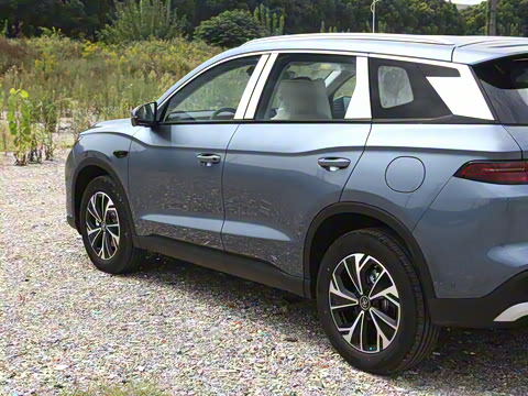 2026�� DM-i 133KM��Խ��