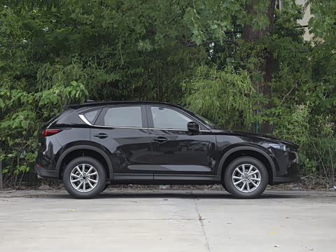 2025�� 2.0L �Զ���������Pro